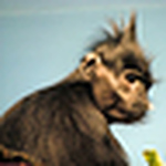 Profile Picture of gemellis1@ameritech.net (@gemellis1@ameritech.net) on Flickr