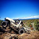 Profile Picture of Joshua Sturges⚠️🔰 (@kreepykrawlers) on Instagram