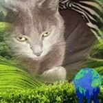 Profile Picture of Daniel Chaput (@daniel.chaput.94) on Instagram
