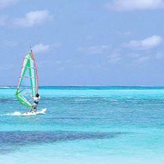 Profile Picture of Nils Jenson (@nilsjenson) on Tiktok