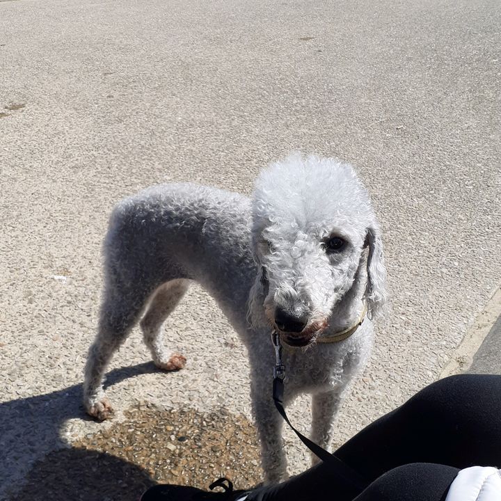 Profile Picture of dave (@@davelindsey) on Tiktok