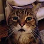 Profile Picture of Norma D'Annunzio-Green (@dannunziogreennorma) on Instagram
