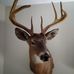 Profile Picture of Derek Hawk (@derek.hawk.7169) on Facebook