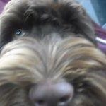 Profile Picture of David Pownall (@pownall.david) on Instagram