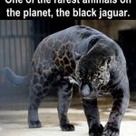 Profile Picture of Eric Calloway (@ericcalloway) on Instagram