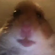 Profile Picture of Matthew Saunders (@matthewsaunders8819) on Youtube