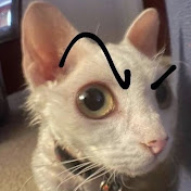 Profile Picture of Matthew Carver (@matthewcarver2805) on Youtube