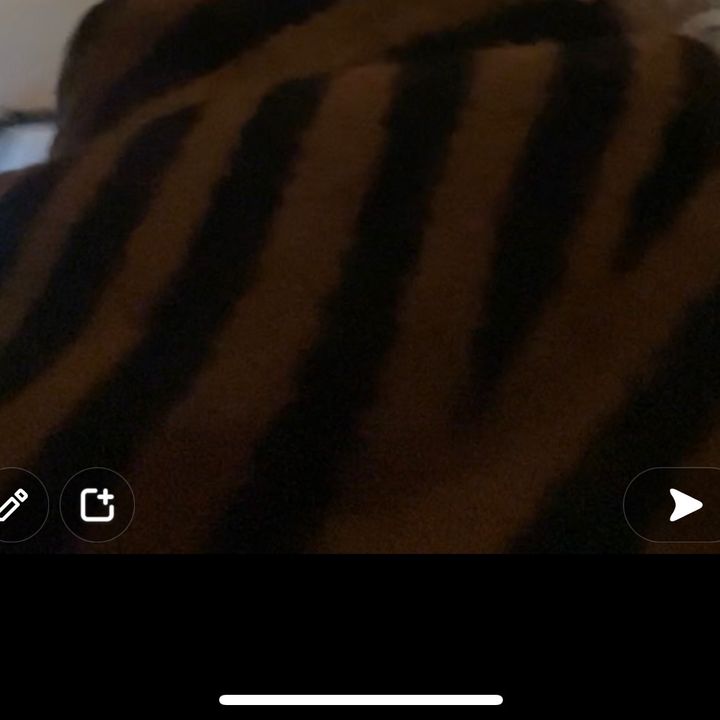 Profile Picture of Renée visser (@reneevisser) on Tiktok