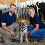 Profile Picture of Abbey Andrew-Copenhaver, RD (@dairyfarmerrd) on Instagram