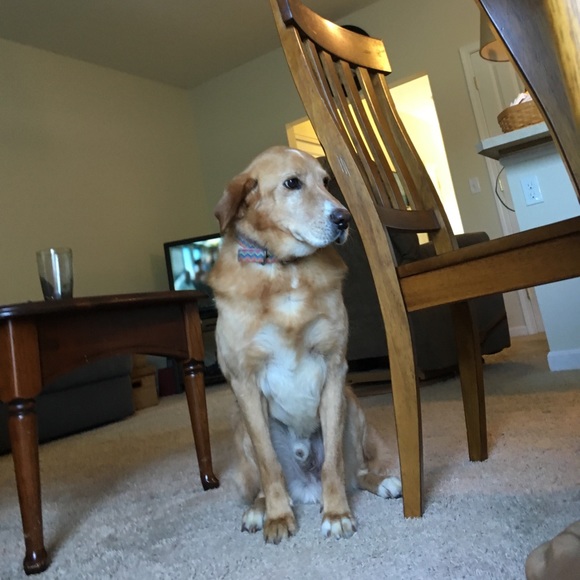 Profile Picture of William Duryeau (@leasingpower4) on Poshmark