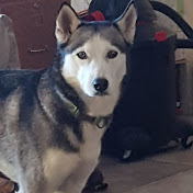 Profile Picture of Kevin C Keller (@kevinckeller2270) on Youtube