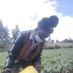 Profile Picture of Colin's Kirui (@colins.kirui.39) on Facebook