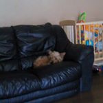 Profile Picture of tina keogh (@martina112keogh) on Instagram