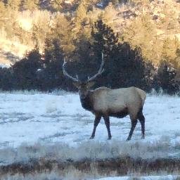 Profile Picture of Jim Dunlap, Sr. (@tarryallrancher) on Twitter