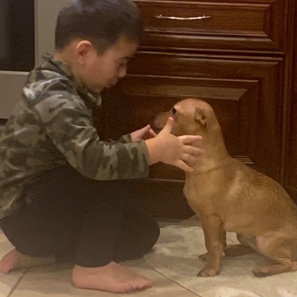 Profile Picture of Joseph Cruciata (@jcruciata71) on Poshmark