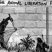 Profile Picture of Vivi Lekens (@vivianelekens) on Youtube