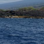 Profile Picture of Nancy Horvath (@blue_eyed_hungarian) on Instagram