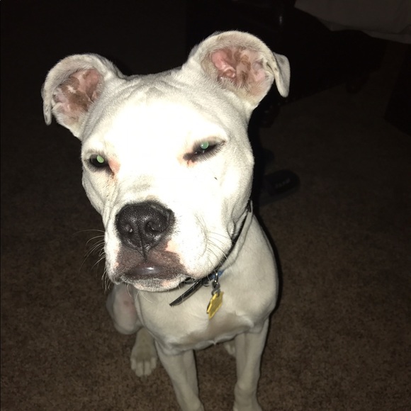 Profile Picture of Lyndel Randash (@lrandash) on Poshmark