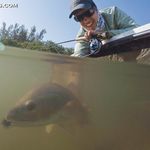 Profile Picture of Brian Ibanez (@brianibanez) on Instagram