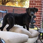 Profile Picture of Hank Williams Jr. Manning (@_bigbank_hank) on Instagram