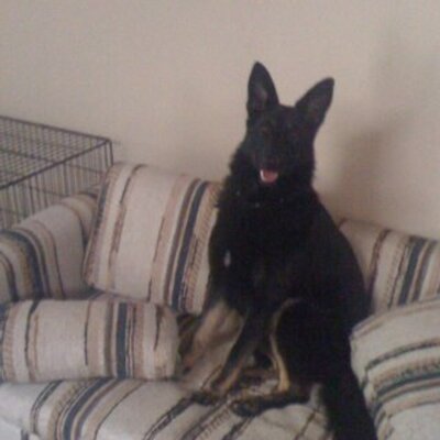 Profile Picture of Griffey Alexander (@BABY_GRIFFIN) on Twitter