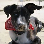 Profile Picture of Andreas Payer (@payerandreas) on Instagram