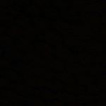 Profile Picture of Paige Todd (@tofupaige) on Instagram