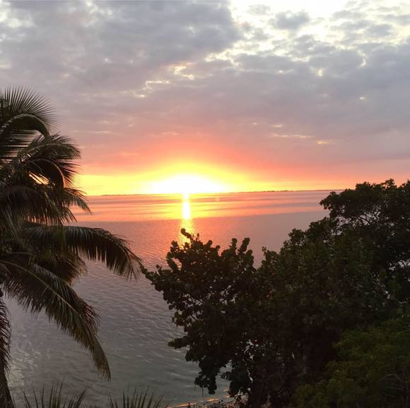 Profile Picture of Dorothy Gulnac (@dgulnac) on Poshmark