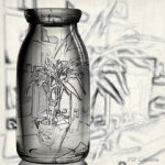 June Deng - Instagram Profile Picture of June Deng (@junedeng88) on Instagram