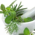 Profile Picture of Brian Mander (@marygracemillions) on Instagram