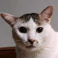Profile Picture of Sarah Keech (@sarah-keech-7) on Quora