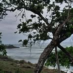 Profile Picture of Joana Lucho Cobaxin (@Joana-Lucho-Cobaxin) on Facebook