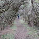 Profile Picture of Caleb Leech (@caleb_leech) on Instagram