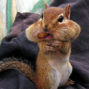 Profile Picture of Robert Cisneros (@chum_bubbles) on Myspace