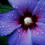 Profile Picture of Christopher Hicks (@christopherhicks4) on Instagram