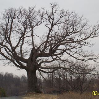 Profile Picture of Alexander Beeman (@alexander.beeman.7) on Facebook
