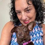 Profile Picture of Susan Koch (@koch9950) on Instagram