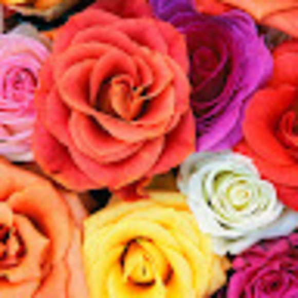 Profile Picture of Asma Shah (@asmamujahid10) on Poshmark