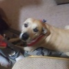 Profile Picture of Ralph Stephens (@@ralphstephens0) on Tiktok