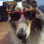 Profile Picture of Robert R Stoeckinger (@robert.r.stoeckinger) on Facebook