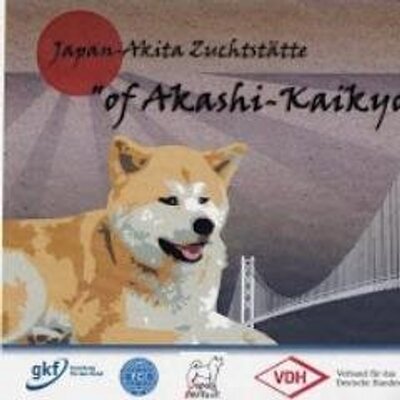 Elke Sägebarth - Twitter Profile Picture of Elke Sägebarth (@ElkeSgebarth) on Twitter