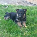 Profile Picture of mark.boychuk (@mark.boychuk) on Instagram