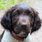 Profile Picture of Mark Dussen (@markdussen) on Instagram