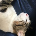 Profile Picture of William Hernández (@williamhrdez) on Instagram