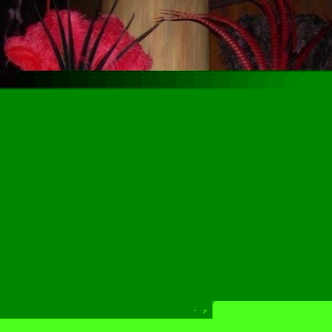 Profile Picture of Michael Bedolla (@jdmintegradb2) on Myspace