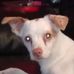 Profile Picture of Joshua Juhl (@joshua.juhl.73) on Facebook