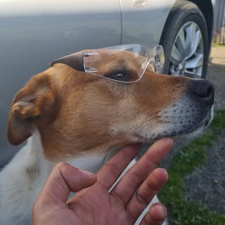 Profile Picture of James Nolan (@james.nolan) on Instagram