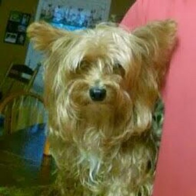 Profile Picture of Larry Keene (@larry_keene) on Twitter