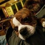 Profile Picture of Pat Garrity (@neonprion) on Instagram