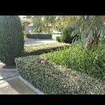 Profile Picture of Martin (@martin_nickolas) on Instagram